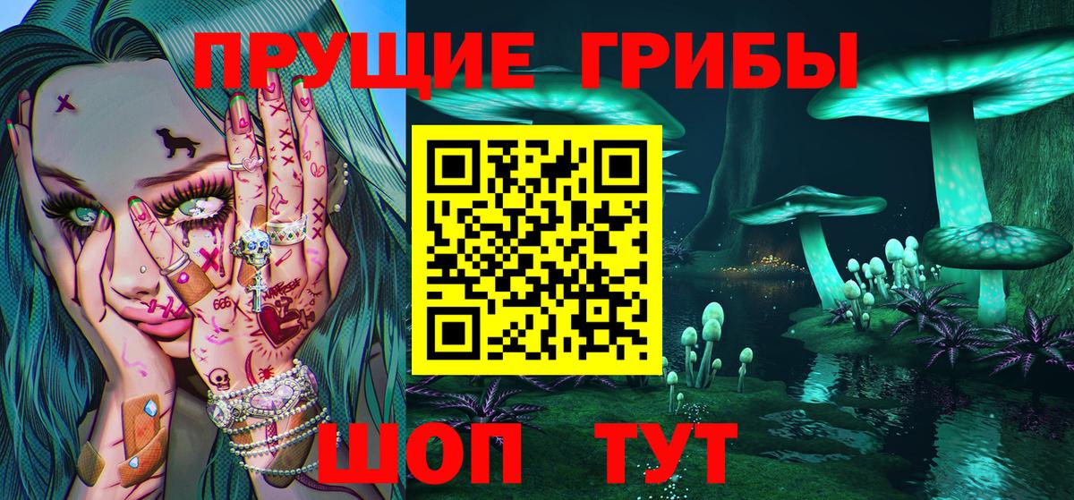 Псилоцибиновые грибы мицелий Муром