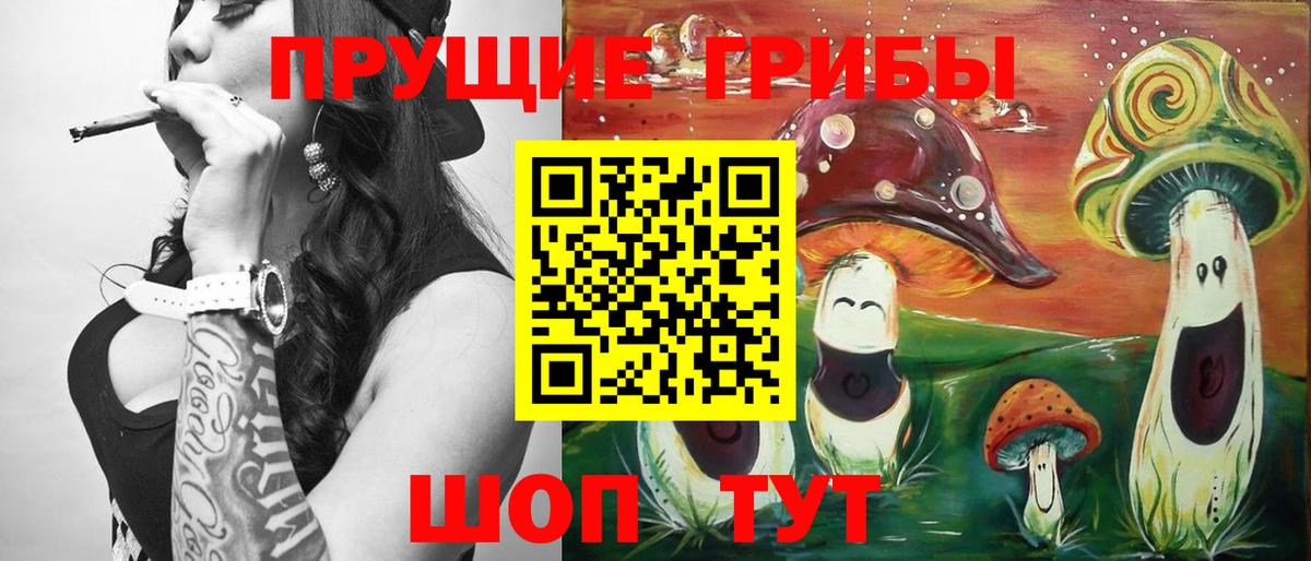 Галлюциногенные грибы Psilocybine cubensis  закладка  Муром  Вход с VPN 